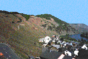 Property of GermanWineEstates.